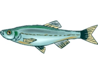 Sticker Custom Preview Image #015038 Animals Aquatic Danio5