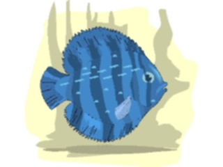 Sticker Custom Preview Image #015040 Animals Aquatic Discus Fish1