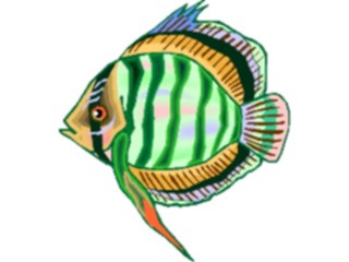 Sticker Custom Preview Image #015041 Animals Aquatic Discus Fish2