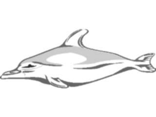 Sticker Custom Preview Image #015049 Animals Aquatic Dolphin05