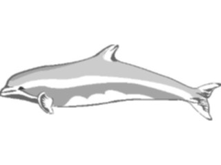 Sticker Custom Preview Image #015050 Animals Aquatic Dolphin06