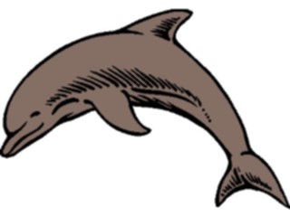 Sticker Custom Preview Image #015051 Animals Aquatic Dolphin07
