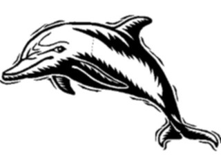 Sticker Custom Preview Image #015057 Animals Aquatic Dolphin13