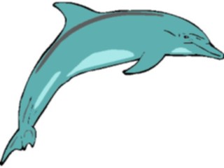 Sticker Custom Preview Image #015058 Animals Aquatic Dolphin14
