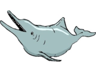 Sticker Custom Preview Image #015059 Animals Aquatic Dolphin15