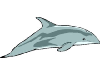 Sticker Custom Preview Image #015060 Animals Aquatic Dolphin16