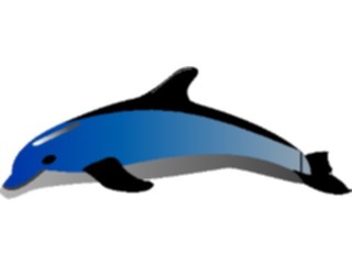 Sticker Custom Preview Image #015063 Animals Aquatic Dolphin19