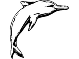 Sticker Custom Preview Image #015064 Animals Aquatic Dolphin20