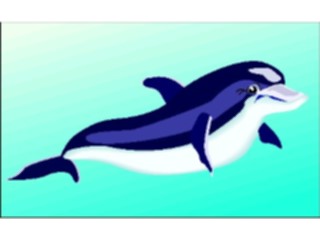 Sticker Custom Preview Image #015068 Animals Aquatic Dolphin24