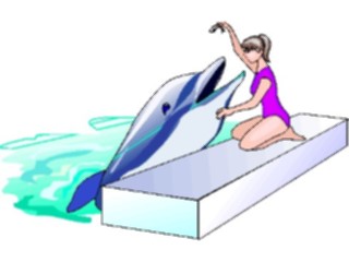 Sticker Custom Preview Image #015069 Animals Aquatic Dolphin25