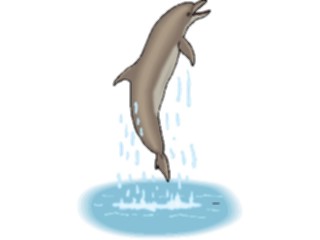 Sticker Custom Preview Image #015073 Animals Aquatic Dolphin29