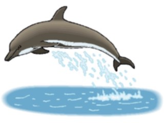 Sticker Custom Preview Image #015074 Animals Aquatic Dolphin30