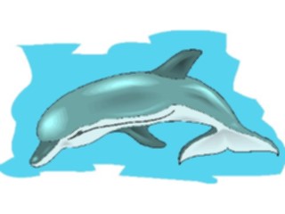 Sticker Custom Preview Image #015075 Animals Aquatic Dolphin31