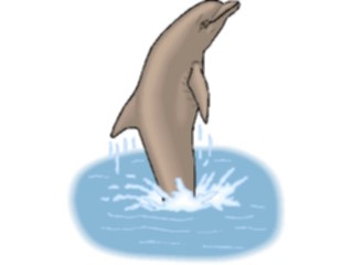 Sticker Custom Preview Image #015076 Animals Aquatic Dolphin32