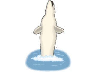 Sticker Custom Preview Image #015077 Animals Aquatic Dolphin33