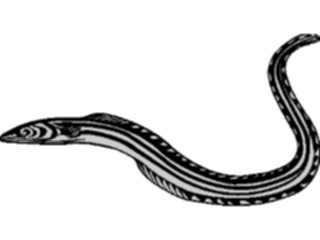 Sticker Custom Preview Image #015092 Animals Aquatic Eel1