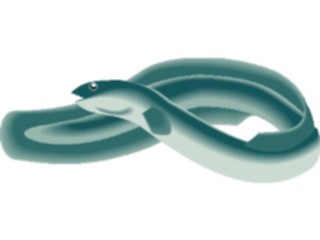 Sticker Custom Preview Image #015093 Animals Aquatic Eel2