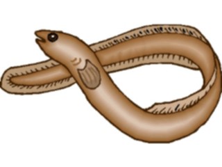 Sticker Custom Preview Image #015094 Animals Aquatic Eel3