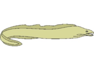 Sticker Custom Preview Image #015097 Animals Aquatic Eel Moray3