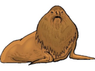 Sticker Custom Preview Image #015101 Animals Aquatic Elephant Seal2