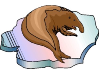 Sticker Custom Preview Image #015103 Animals Aquatic Elephant Seal4