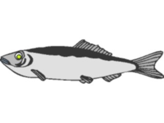 Sticker Custom Preview Image #015114 Animals Aquatic Fish009