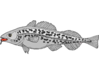 Sticker Custom Preview Image #015118 Animals Aquatic Fish013