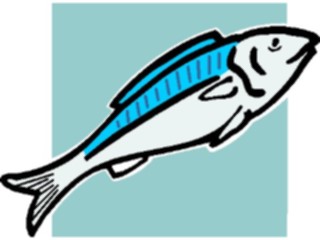 Sticker Custom Preview Image #015119 Animals Aquatic Fish014