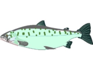 Sticker Custom Preview Image #015121 Animals Aquatic Fish016