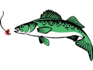 Sticker Custom Preview Image #015132 Animals Aquatic Fish027