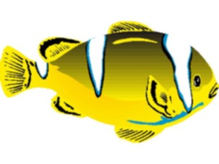 Sticker Custom Preview Image #015145 Animals Aquatic Fish040