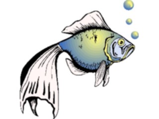 Sticker Custom Preview Image #015146 Animals Aquatic Fish041