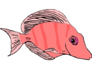 Sticker Custom Preview Image #015151 Animals Aquatic Fish046