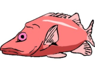 Sticker Custom Preview Image #015152 Animals Aquatic Fish047