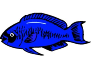 Sticker Custom Preview Image #015153 Animals Aquatic Fish048