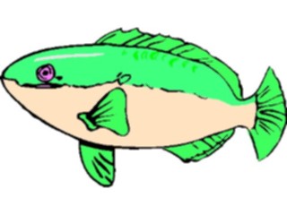 Sticker Custom Preview Image #015154 Animals Aquatic Fish049