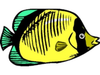 Sticker Custom Preview Image #015156 Animals Aquatic Fish051