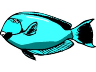 Sticker Custom Preview Image #015158 Animals Aquatic Fish053