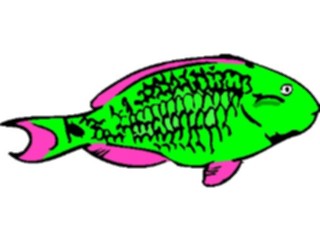 Sticker Custom Preview Image #015160 Animals Aquatic Fish055