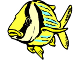 Sticker Custom Preview Image #015161 Animals Aquatic Fish056