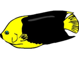 Sticker Custom Preview Image #015162 Animals Aquatic Fish057