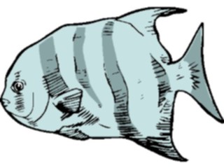 Sticker Custom Preview Image #015164 Animals Aquatic Fish059