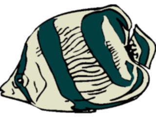 Sticker Custom Preview Image #015166 Animals Aquatic Fish061