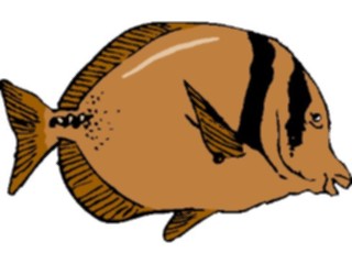 Sticker Custom Preview Image #015167 Animals Aquatic Fish062