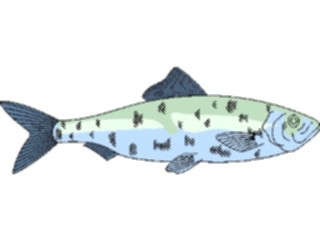 Sticker Custom Preview Image #015175 Animals Aquatic Fish070