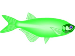 Sticker Custom Preview Image #015180 Animals Aquatic Fish075