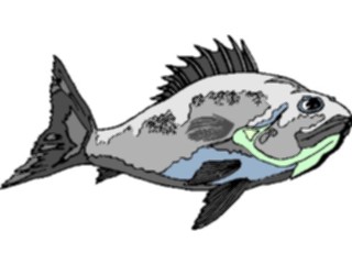 Sticker Custom Preview Image #015183 Animals Aquatic Fish078