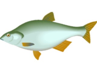 Sticker Custom Preview Image #015190 Animals Aquatic Fish085