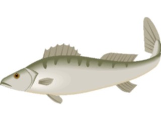 Sticker Custom Preview Image #015193 Animals Aquatic Fish088