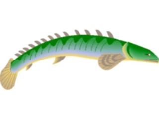 Sticker Custom Preview Image #015196 Animals Aquatic Fish091